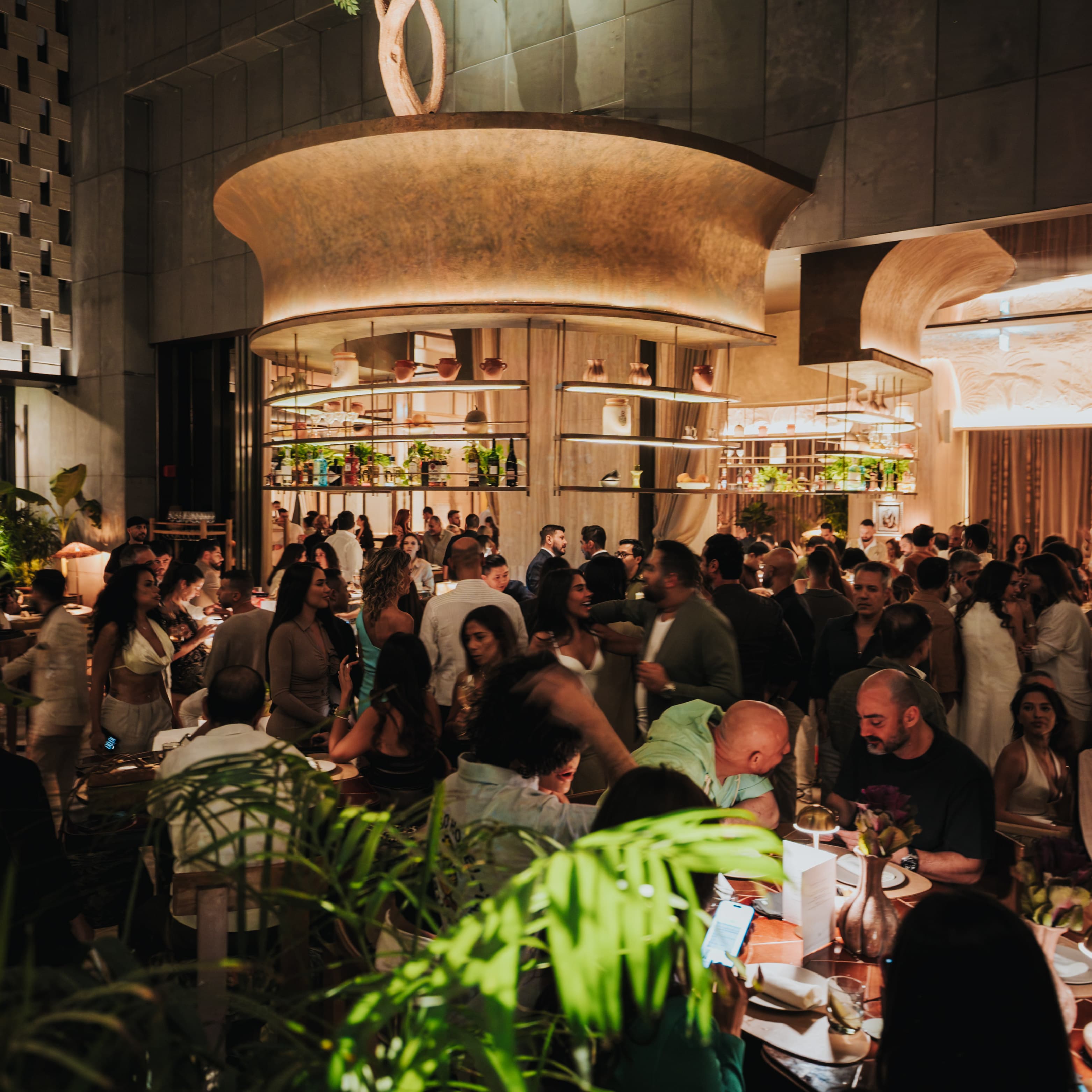 Villa Coconut gallery 4